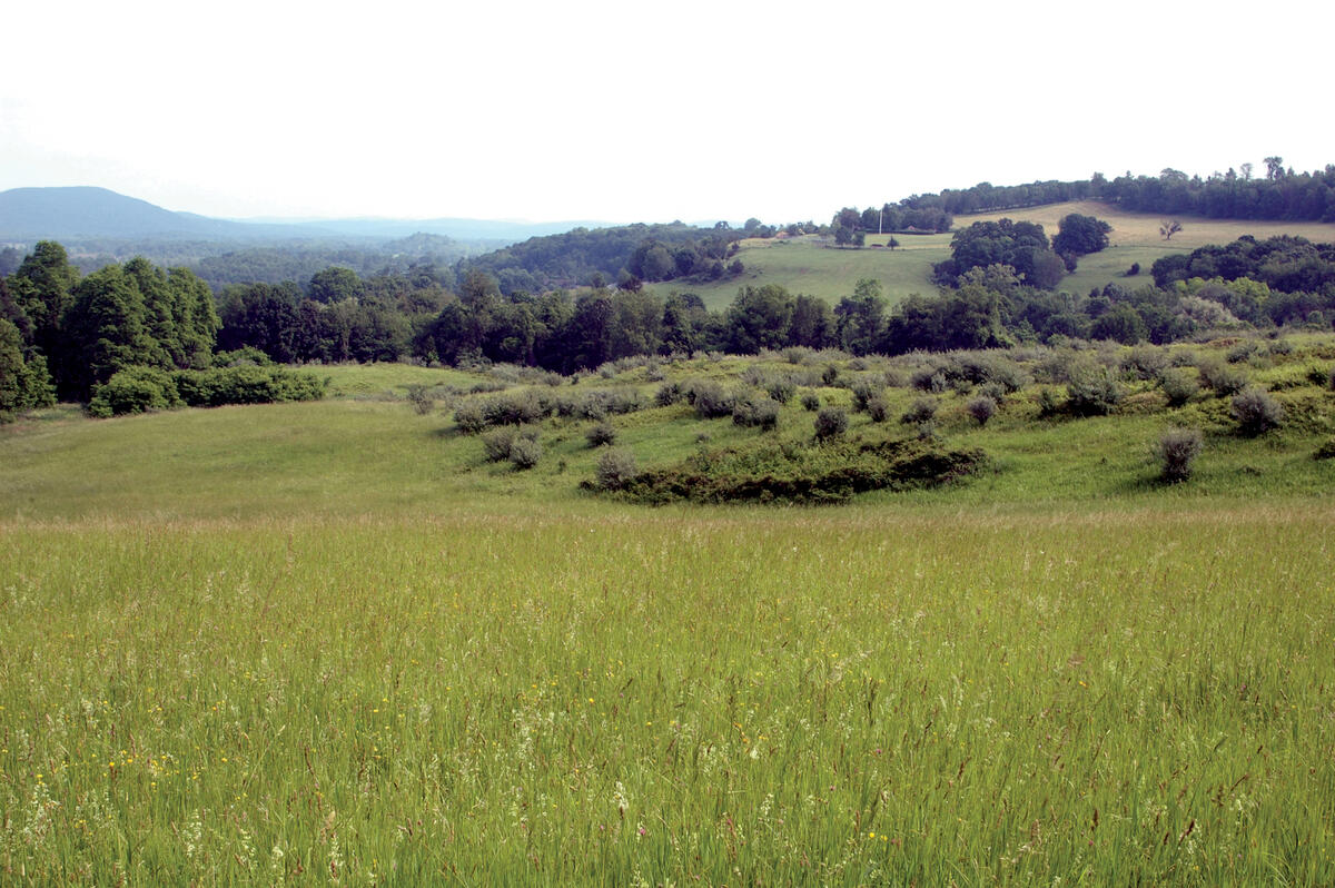 Soil: The Symbiotic ‘How’ of Food, Nutrition and Water Quality